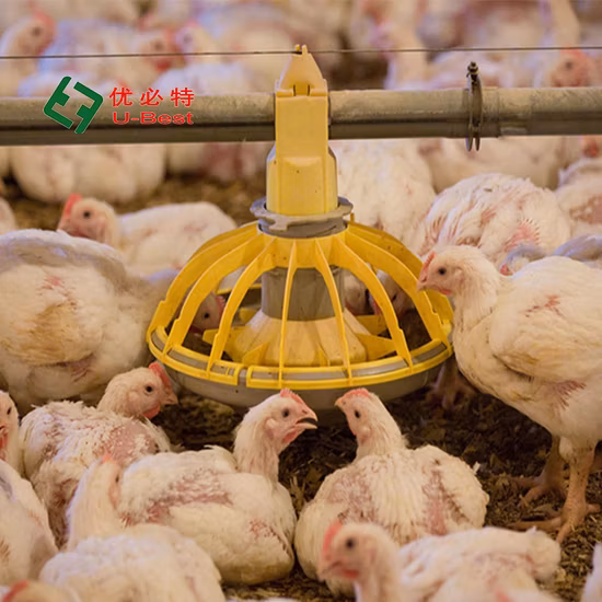 Geflügelfütterungs-/Trinksystem, Zuchtausrüstung für landwirtschaftliche Zuchtanlagen, Aufzucht im Erdgeschoss für Hühner/Gänse/Enten/Schweine/Schafe mit Beleuchtungssystem