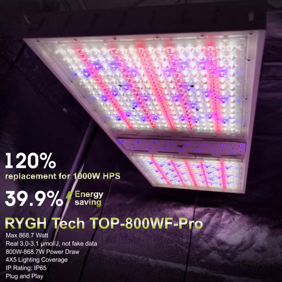 Gartenbau-Beleuchtung, Indoor-Anbau, Hydrokultur-Pflanzenlampe, wasserdicht, vertikale Landwirtschaft, Top-Baldachin, bestes rotes Vollspektrum-UV-IR-600-W-800-W-1000-W-LED-Wachstumslicht